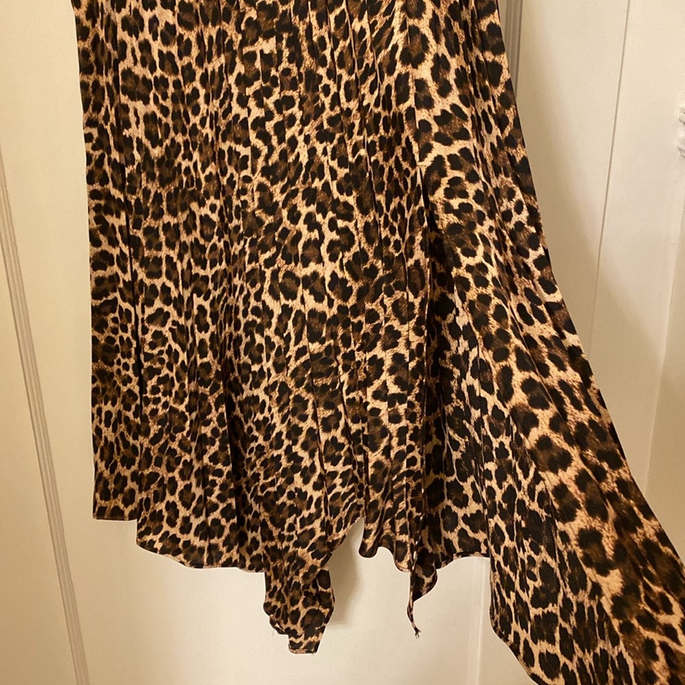 Zara Leopard Print Maxi Skirt in Brown and Black - Picture 2 of 4